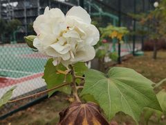 -中国移动南方基地