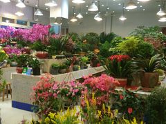 -双季花艺园艺市场(浦东店)