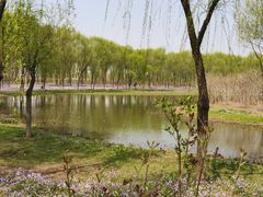 -东郊湿地公园