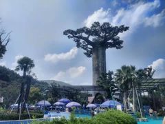 -苏州乐园森林水世界