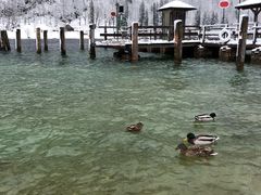 -柯尼希湖