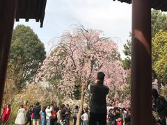 -西安青龙寺遗址景区