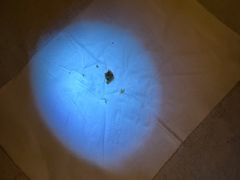 -宁采臣Sleep·采耳·SPA放松馆(湖里万达店)