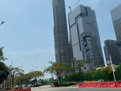 -华侨城湿地公园