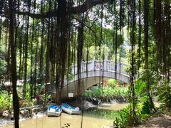 -小洲村