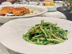 香汁有机脆芹-麟1929(外滩店)