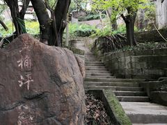 -黄桷坪涂鸦艺术街