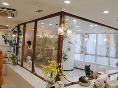-共舞时光猫咖·狗咖(新街口店)