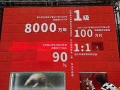 -南宁国际会展中心(会展东博文化旅游区)
