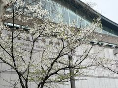 -鸡鸣寺