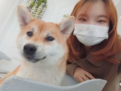 -Let's go狗咖·猫咖·奶狗·桌游(春熙路IFS店)