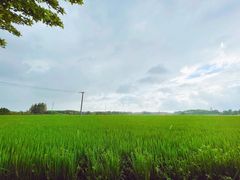 -嘉北郊野公园
