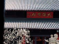-灵谷景区