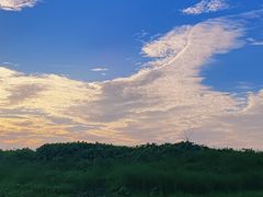 -鄱阳湖国家湿地公园