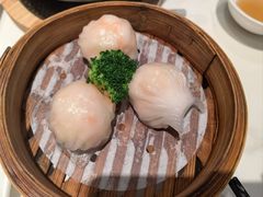 -新雅粤菜馆(南京东路店)