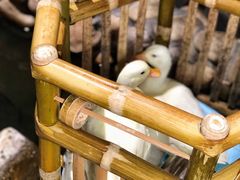 -馬蘭花開(车站大道店)