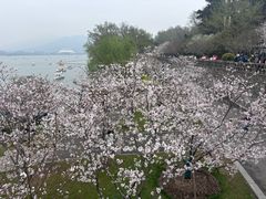 -九华山公园