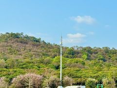 -艾米稻香小镇