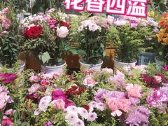 -鹿岛生活(熙地港店)
