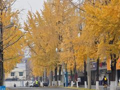 -四川大学(望江校区)