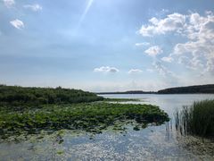 -丁香湖公园