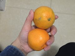 -鲜丰水果(明桂南苑店)