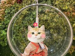 -青水瓦台汤泉(未央店)