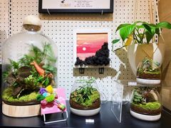 -光海书局(南京东路第一百货店)