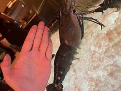 -Ministry of Crab(科伦坡店)