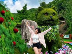 -洛阳白云山景区