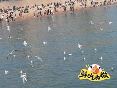 -青岛海滨风景区