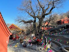 -封龙山风景区