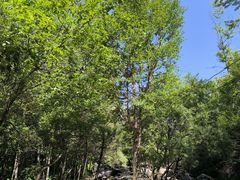 -玉渡山自然风景区