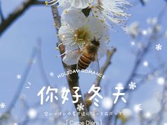 -桃花涧