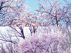-玲珑塔公园