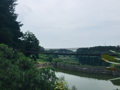 -铁山坪森林公园