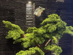 -上足·影院足道·SPA(红岭店)