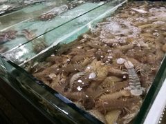皮皮虾-石塘路海鲜市场(草厂中路店)
