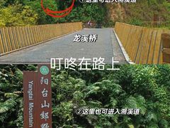-阳台山森林公园