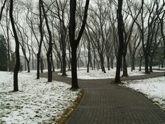 android_upload_pic-玲珑塔公园