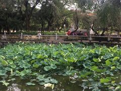 -星海公园(番禺区)