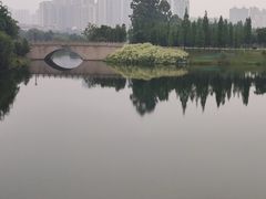 -眉山湿地公园(东坡区)