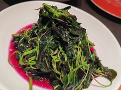 -小厨娘金榜题名(夫子庙秦淮河店)