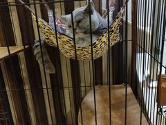 -津菜宋记老房子(鼓楼店)