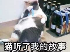 -813芭依珊 BAESAn(汇港购物中心店)