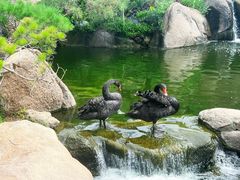 -罗红摄影艺术馆