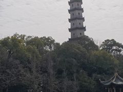 -江心屿景区
