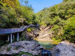 -广州白江湖森林公园