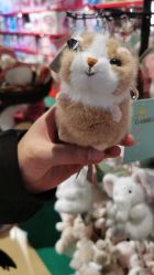 -Hamleys哈姆雷斯(东方福来德店)