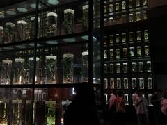 -广东中医药博物馆